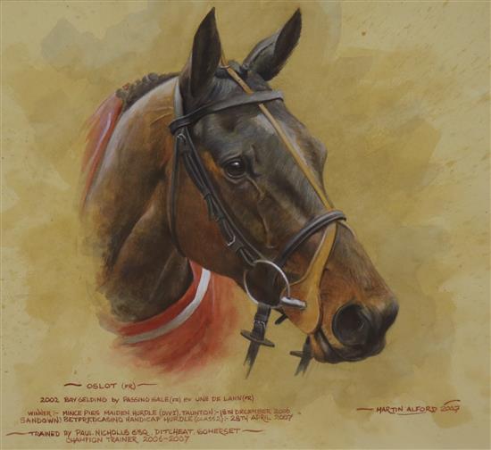 Martin Alford Head studies of winning racehorses 32 x 36cm